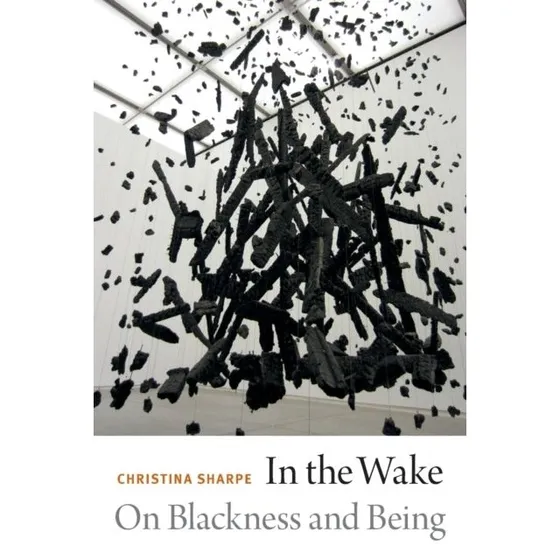 In the Wake - Christina Sharpe