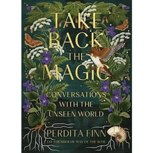 Perdita Finn - Take Back the Magic (Bog)
