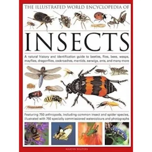 The Illustrated World Encyclopaedia of Insects - Martin Walters