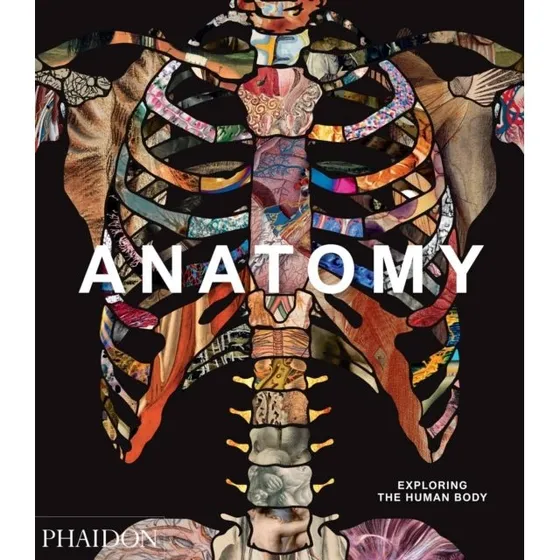 Anatomy: Exploring the Human Body - Phaidon