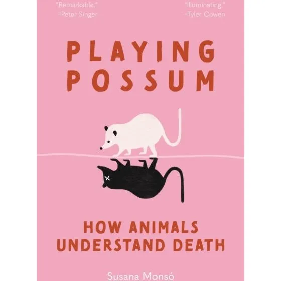 Susana Monsó: Playing Possum