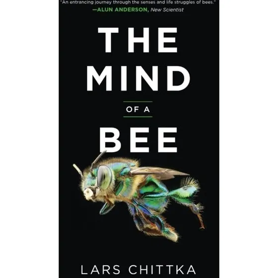 Lars Chittka: The Mind of a Bee