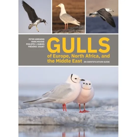Gulls of Europe, North Africa, and the Middle East - Bog