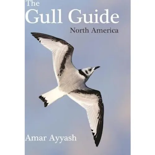 Amar Ayyash: The Gull Guide - Fotoguide til måger