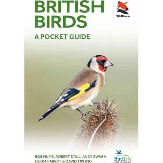 British and Irish Birds A Pocket Guide