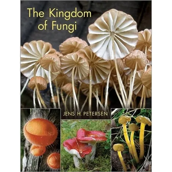 The Kingdom of Fungi - Fotoguide