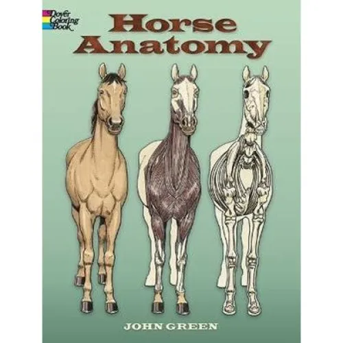 John Green: Horse Anatomy Coloring Book