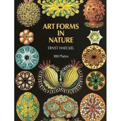 Ernst Haeckel: Art Forms in Nature - Bog
