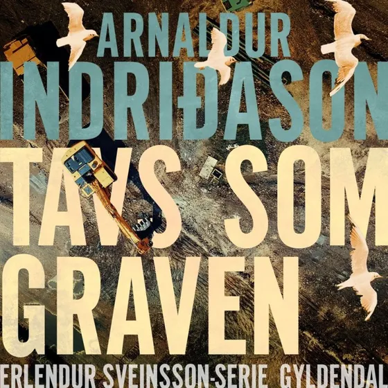 Tavs som graven - Erlendur (Bind 2)