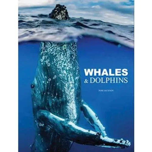 Tom Jackson: Whales & Dolphins - Bog