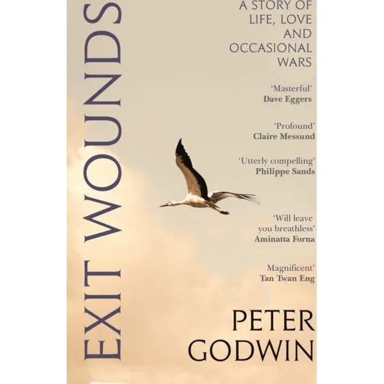 Exit Wounds - Peter Godwin (Bog)