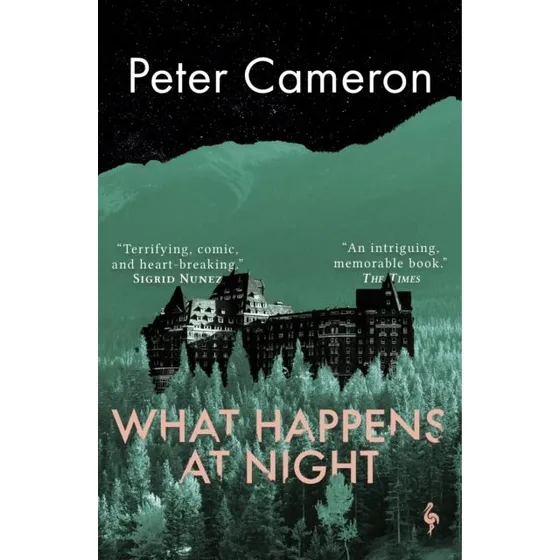 What Happens at Night - Peter Cameron