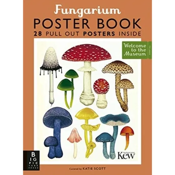 Katie Scott Fungarium Poster Book