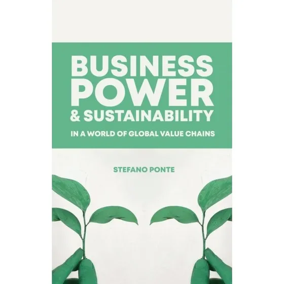 Business, Power and Sustainability in a World of Global Value Chains