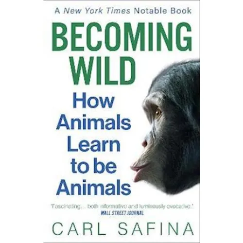 Becoming Wild - Carl Safina - Bog