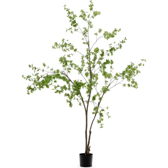 Kave Home Enkianthus kunstig plante, grøn H214 cm m. sort potte