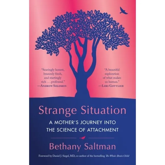 Bethany Saltman: Strange Situation (Bog)