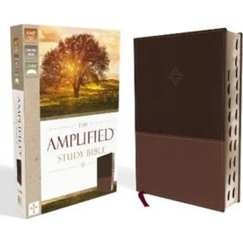 Zondervan Amplified Study Bible, Leathersoft, Brun, Tommelfinger-indeks