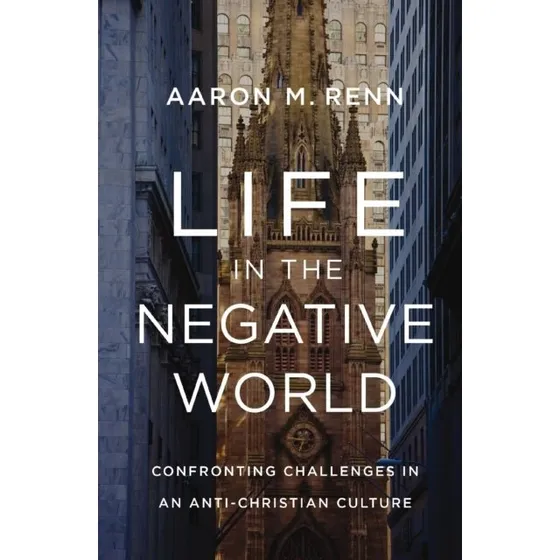 Life in the Negative World - Aaron M. Renn