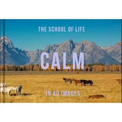 The School of Life: Calm in 40 Images