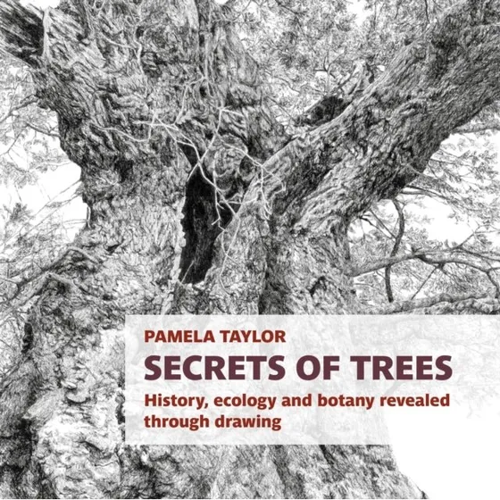 Secrets Of Trees: History, Ecology and Botany Revealed