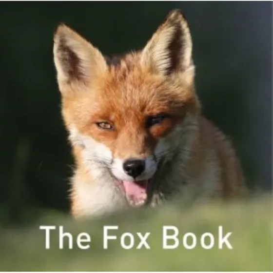 Nature Book Series: The Fox Book af Jane Russ