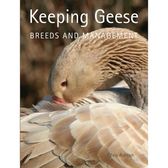 Keeping Geese af Chris Ashton - Bog