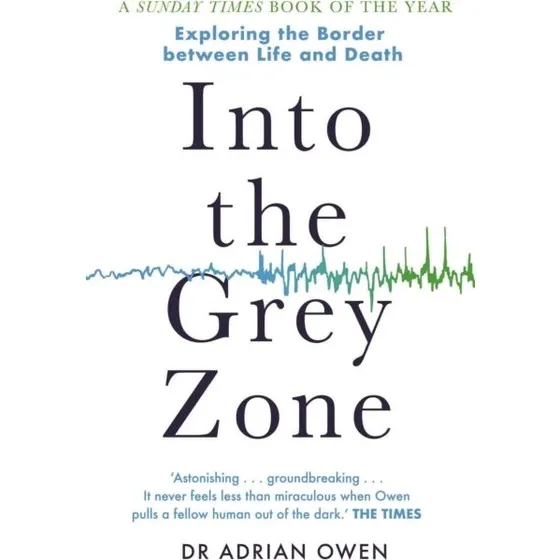 Into the Grey Zone