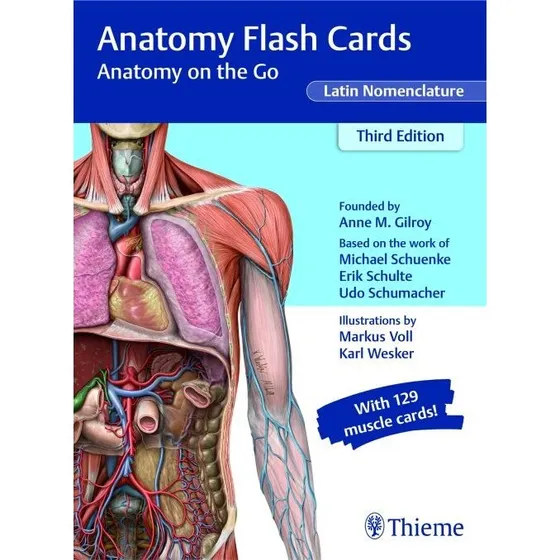 Thieme Anatomy Flash Cards: Anatomy On The Go - Anne M. Gilroy