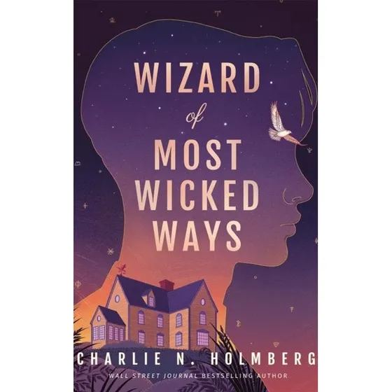 Wizard of Most Wicked Ways af Charlie N. Holmberg