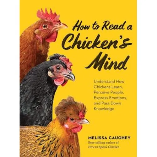 Melissa Caughey: How to Read a Chicken's Mind - Bog