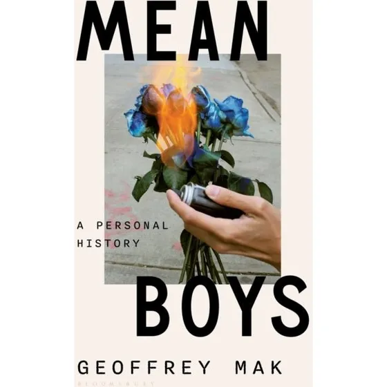Mean Boys - Trykt bog