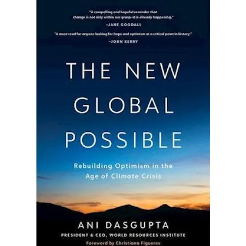 The New Global Possible - Ani Dasgupta & James A. Harmon (Bog)