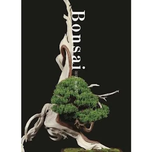 Kunio Kobayashi - Bonsai - Bog