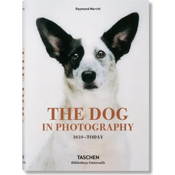 The Dog in Photography 1839today - Raymond Merritt