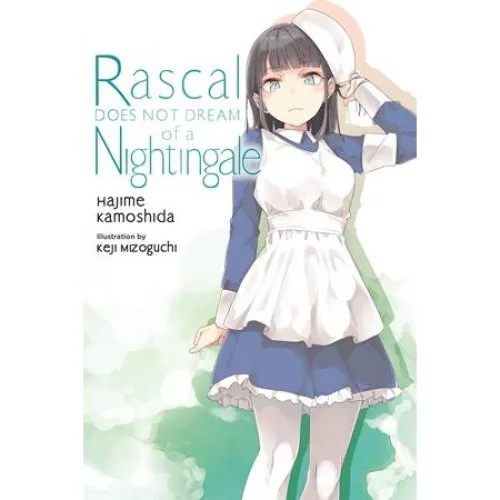 Rascal Does Not Dream of a Nightingale Light Novel