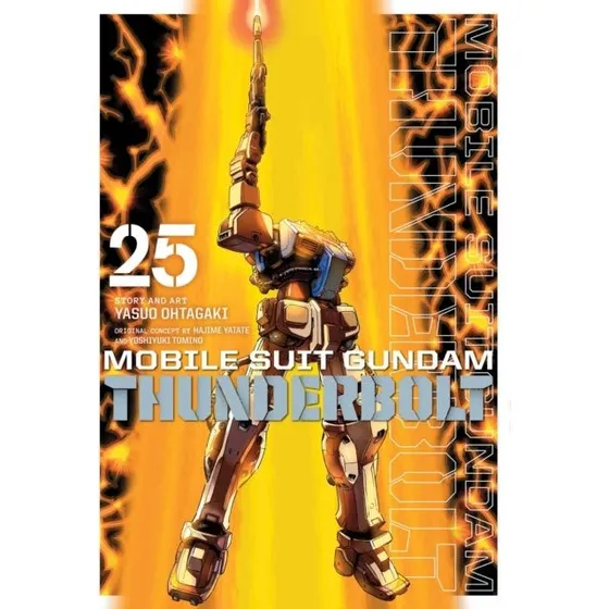 Mobile Suit Gundam Thunderbolt, Vol. 25 - Manga