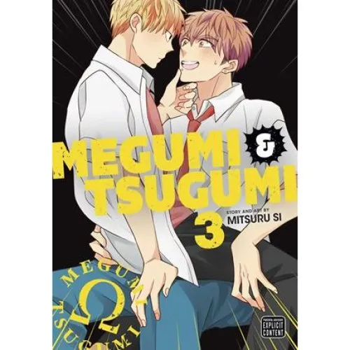 Megumi & Tsugumi, Vol. 3 af Mitsuru Si - Bog