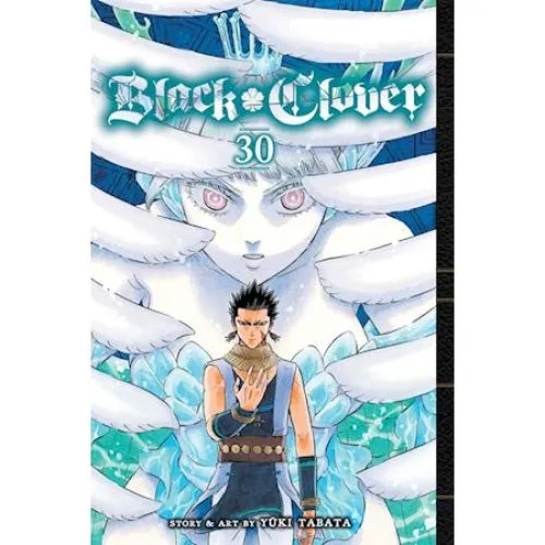 Black Clover, Vol. 30 - Yuki Tabata - Bog