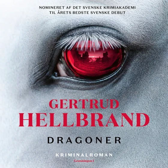 Dragoner - Svensk krimi af kritikerrost forfatter