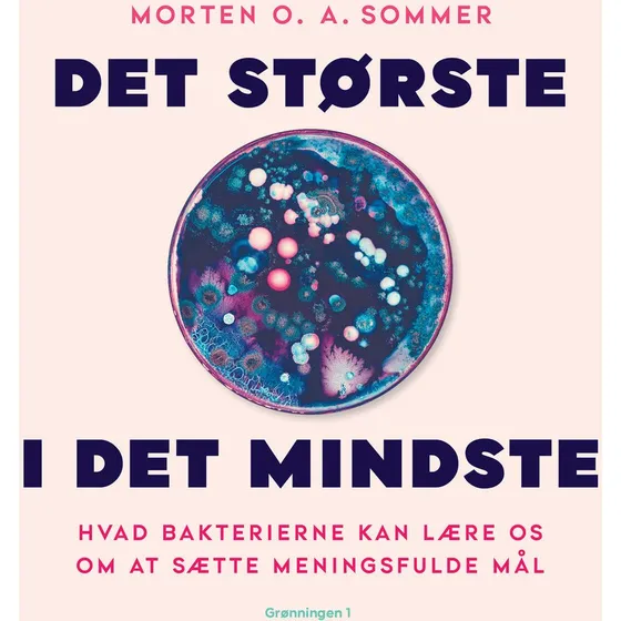 Det største i det mindste - Morten O. A. Sommer