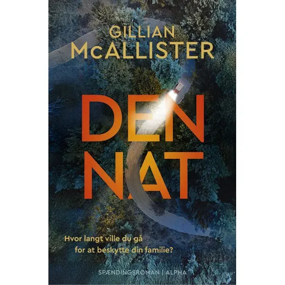 Den nat af Gillian McAllister