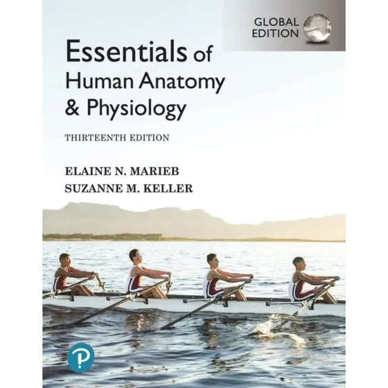 Essentials of Human Anatomy and Physiology, Global Edition