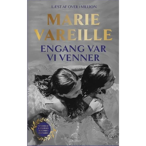 Marie Vareille: Engang var vi venner (Bog)