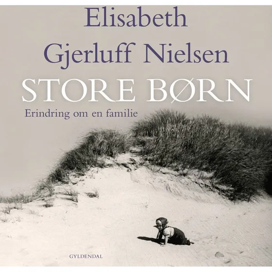 Store børn - Elisabeth Gjerluff Nielsen (Lydbog)