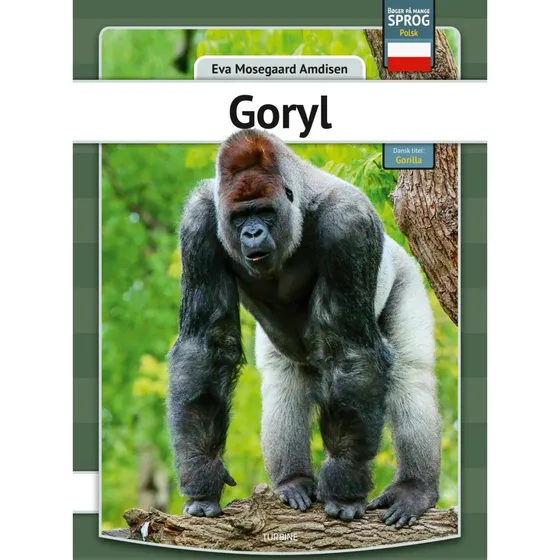 Gorilla af Eva Mosegaard Amdisen - Fakta 2