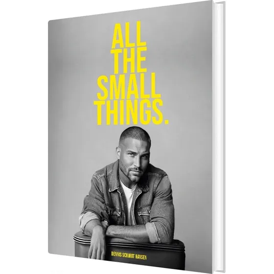 All The Small Things - Dennis Schjødt Hansen - Engelsk bog