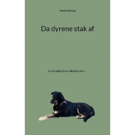 Da dyrene stak af - Sandy Bunnag