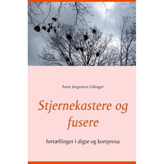 Anne Jørgensen Lilleager: Stjernekastere og fusere
