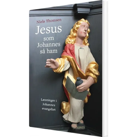 Niels Thomsen: Jesus - Som Johannes Så Ham (Bog)